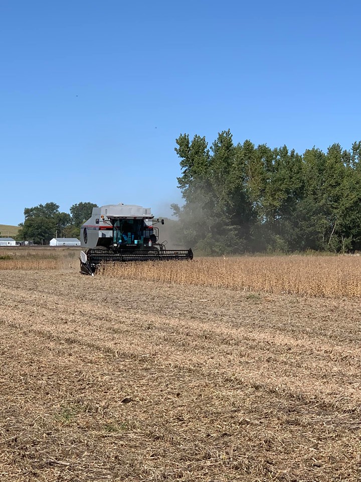 Harvest2019